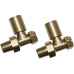 Brushed Brass Radiator Valves